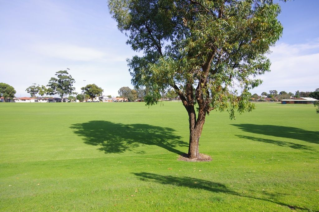 2A Currong Way, NOLLAMARA, WA 6061