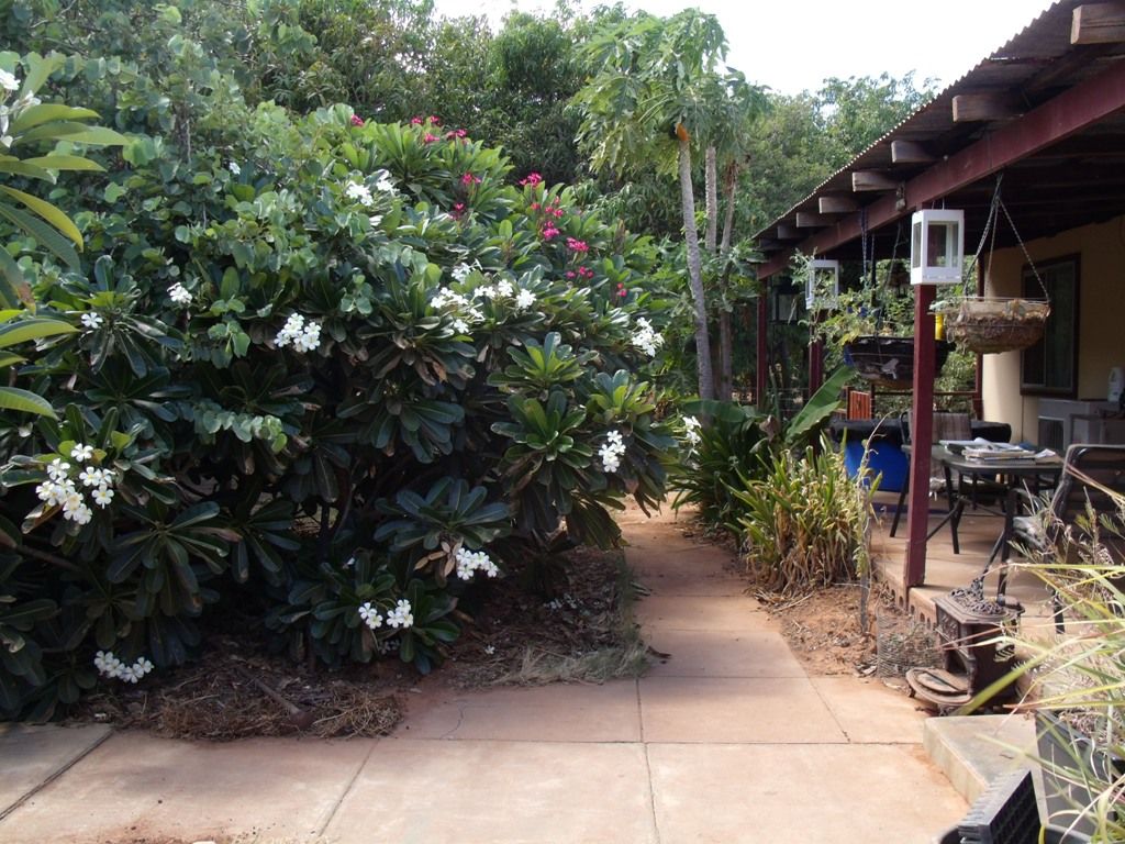500 Robinson Street, CARNARVON WA 6701