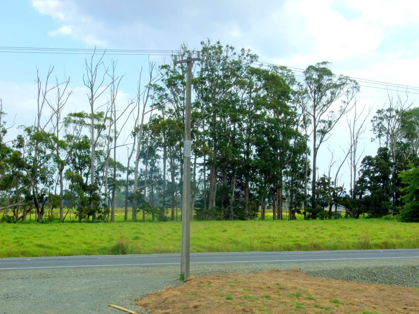 KAITAIA  Far North District  0410 photo 0