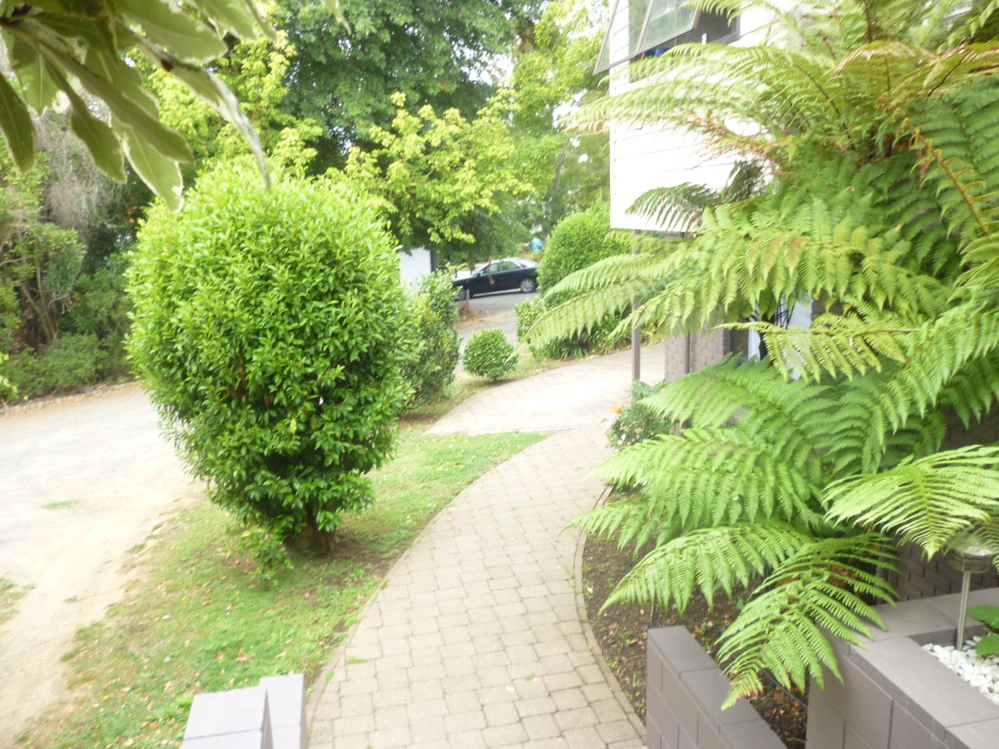 11 Stirling Place, DINSDALE, Hamilton City