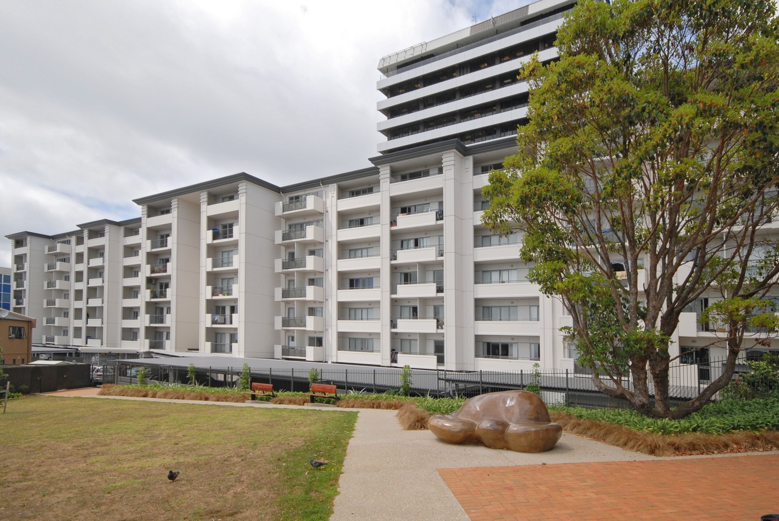 GRAFTON, Auckland City