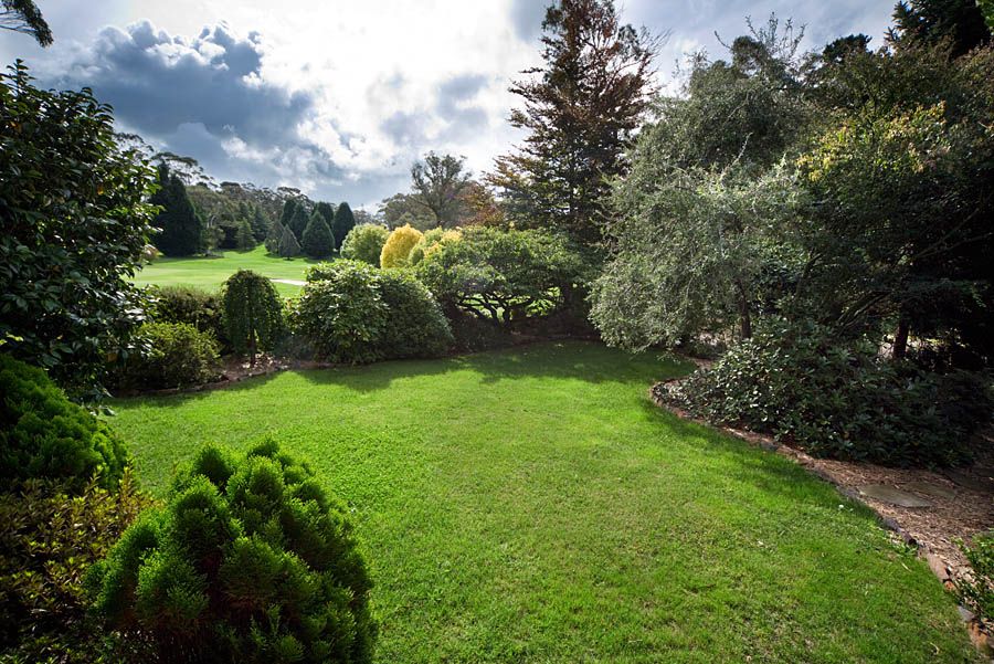 BLACKHEATH, NSW 2785