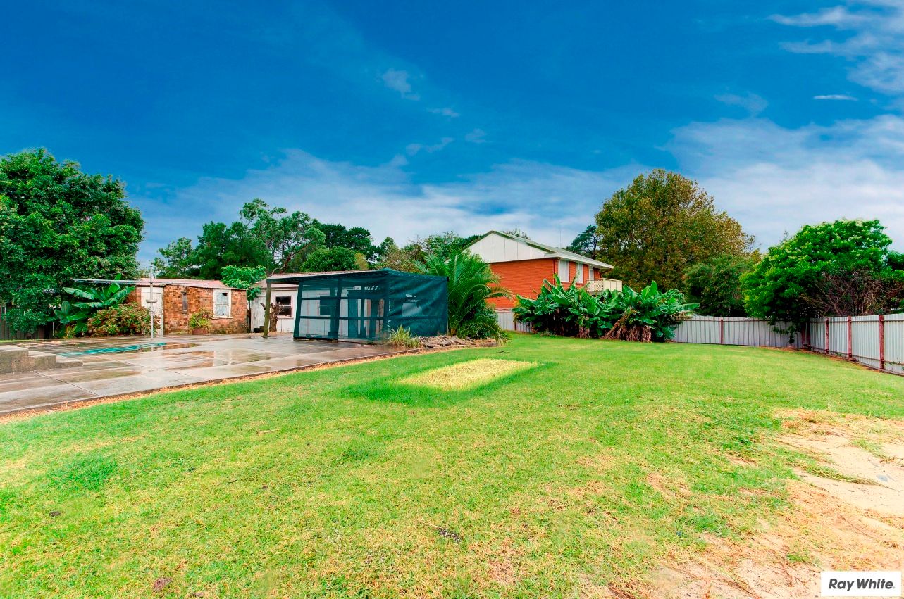 87 Thompson Street, WOONONA NSW 2517