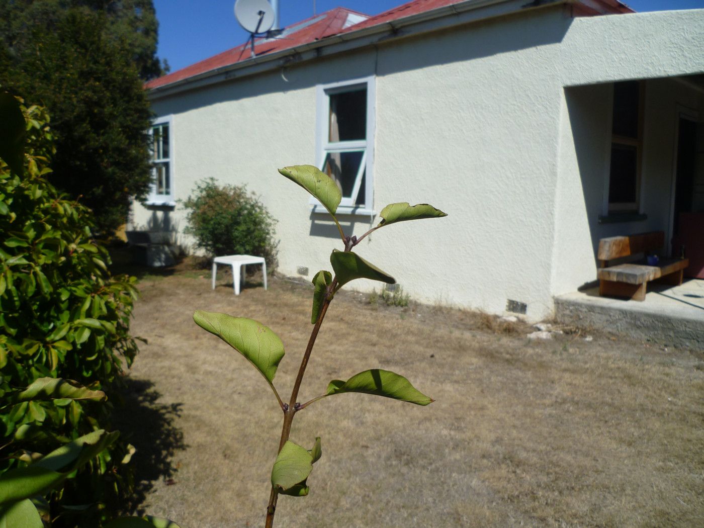 50 Maldon Street, Chertsey, Ashburton District
