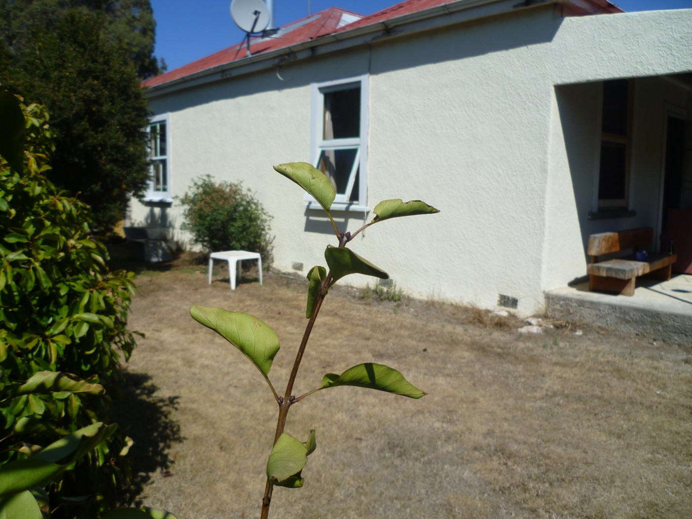 50 Maldon Street, Chertsey, Ashburton District