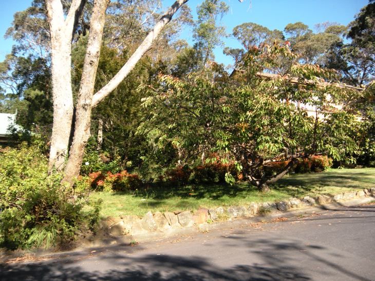 213 Connaught Road, BLACKHEATH, NSW 2785