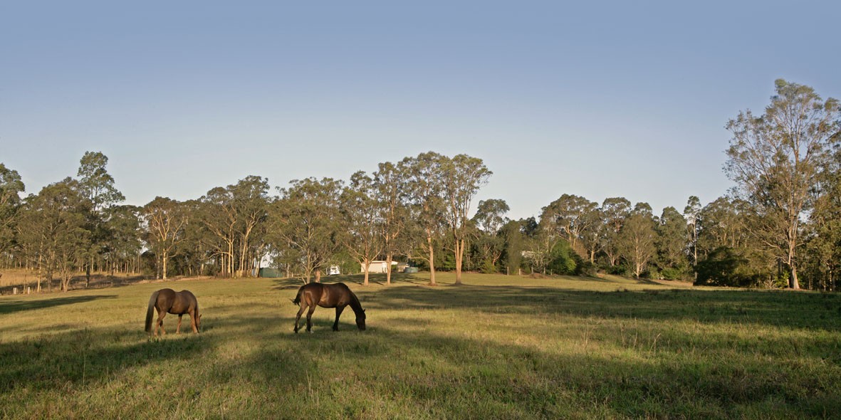 TINONEE, NSW 2430