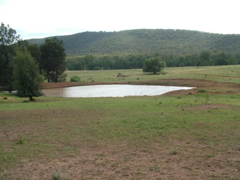 Glen Harvey, PEAK HILL, NSW 2869