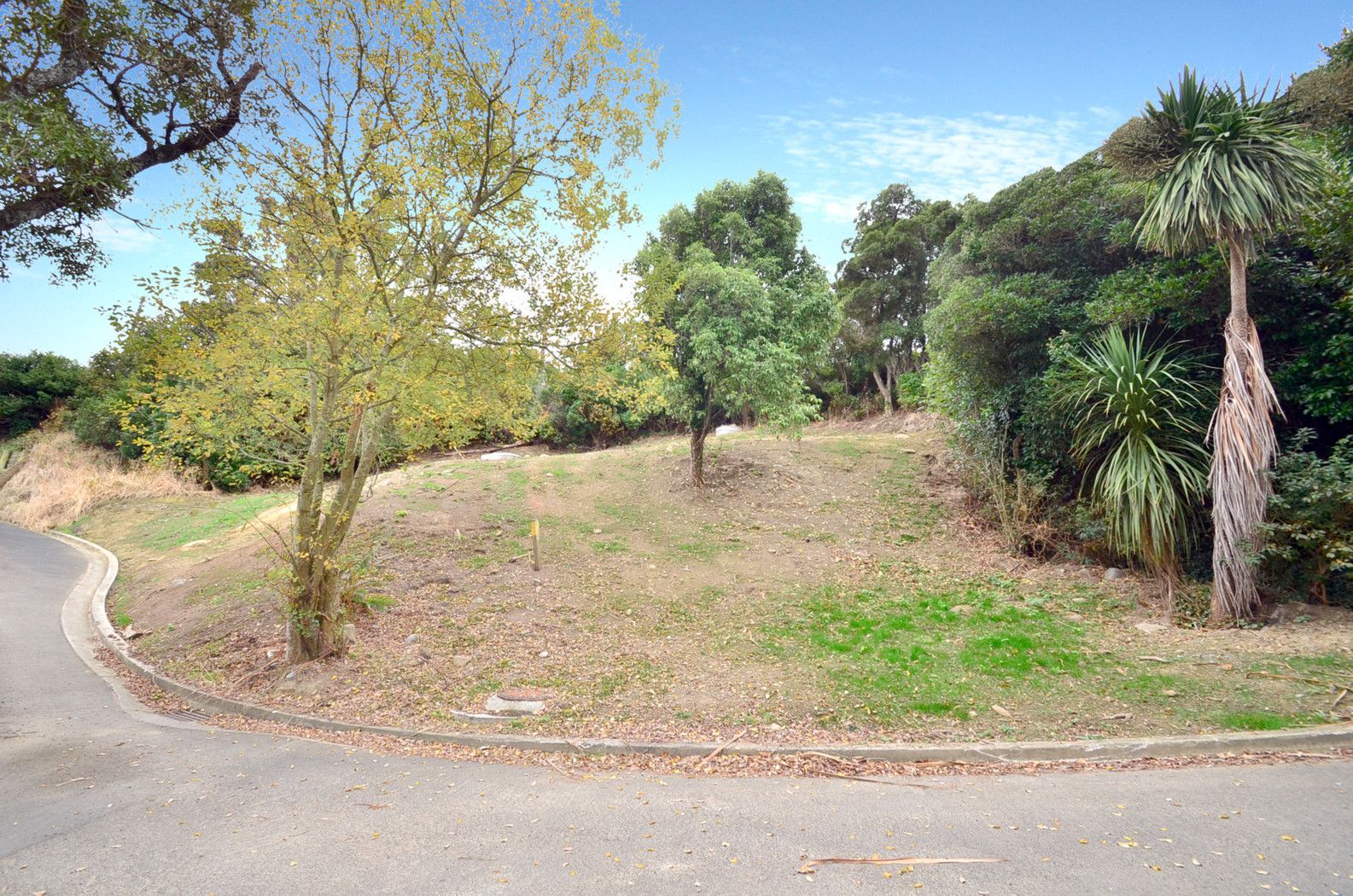 4A and 4D Minto Street, ANDERSONS BAY, Dunedin City
