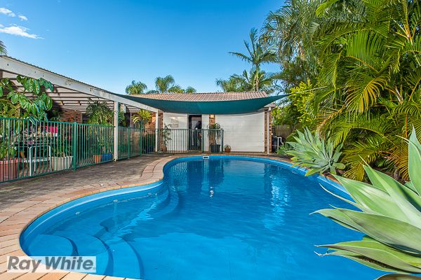 8 Lenae Court, MURRUMBA DOWNS QLD 4503
