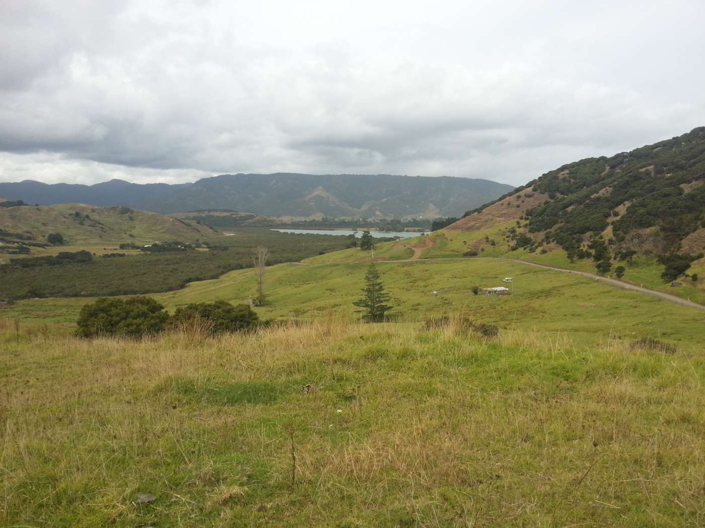 1066 and 1084 Whangape Road photo 6