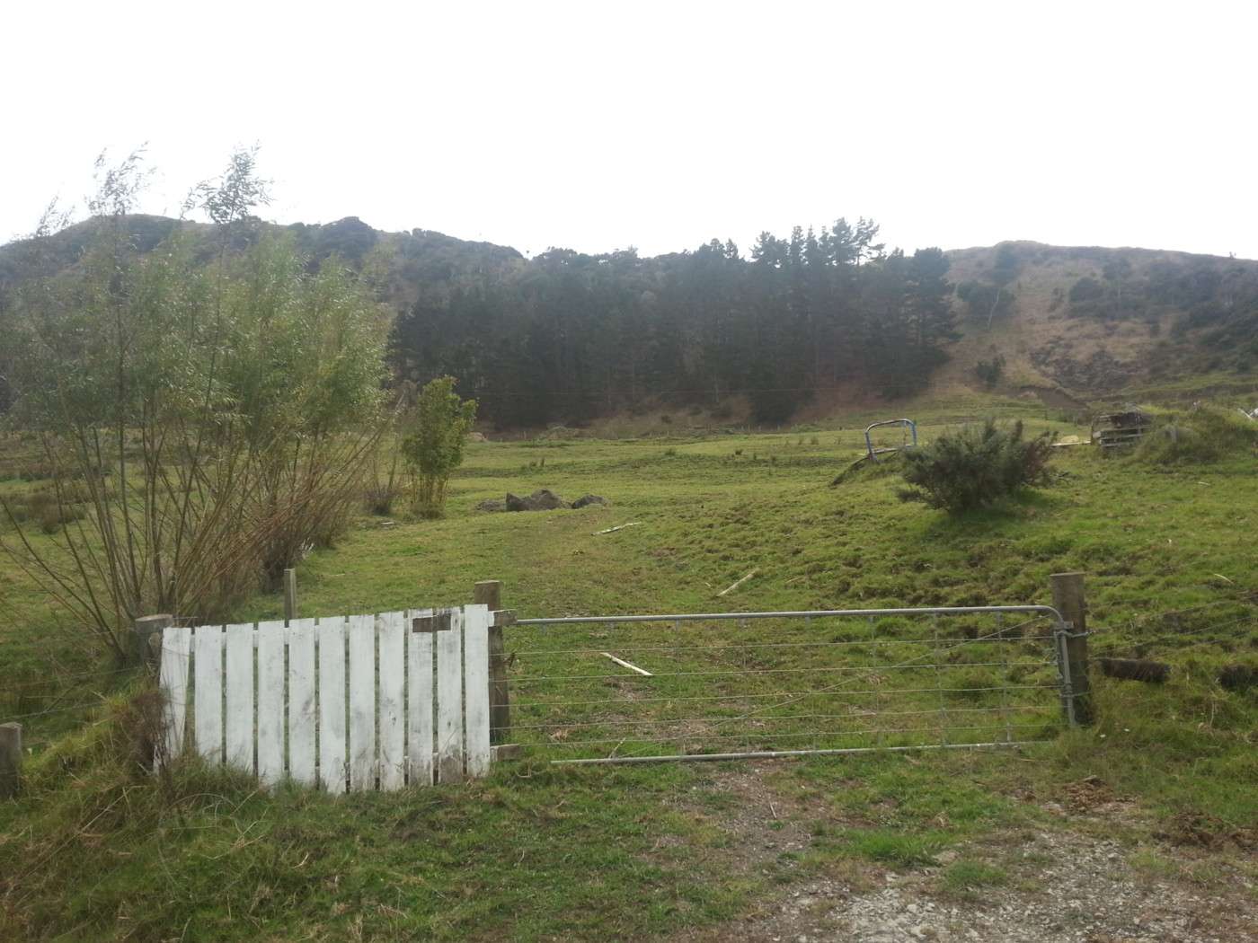 1066 and 1084 Whangape Road photo 3