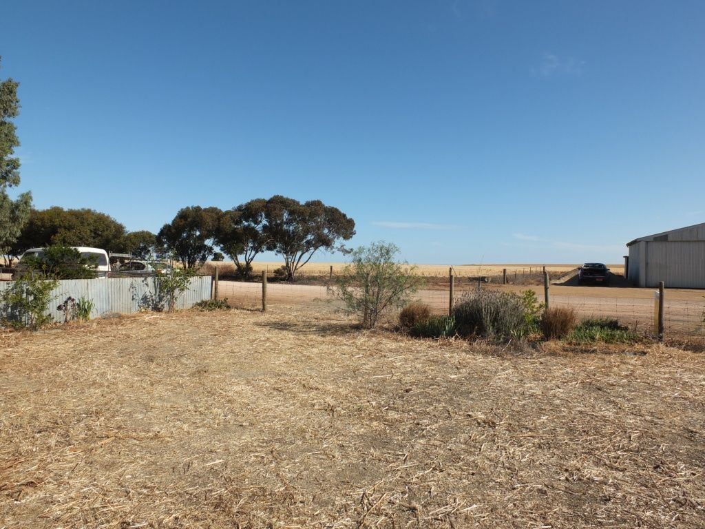 Lot 12 South Terrace, KULPARA, SA 5555
