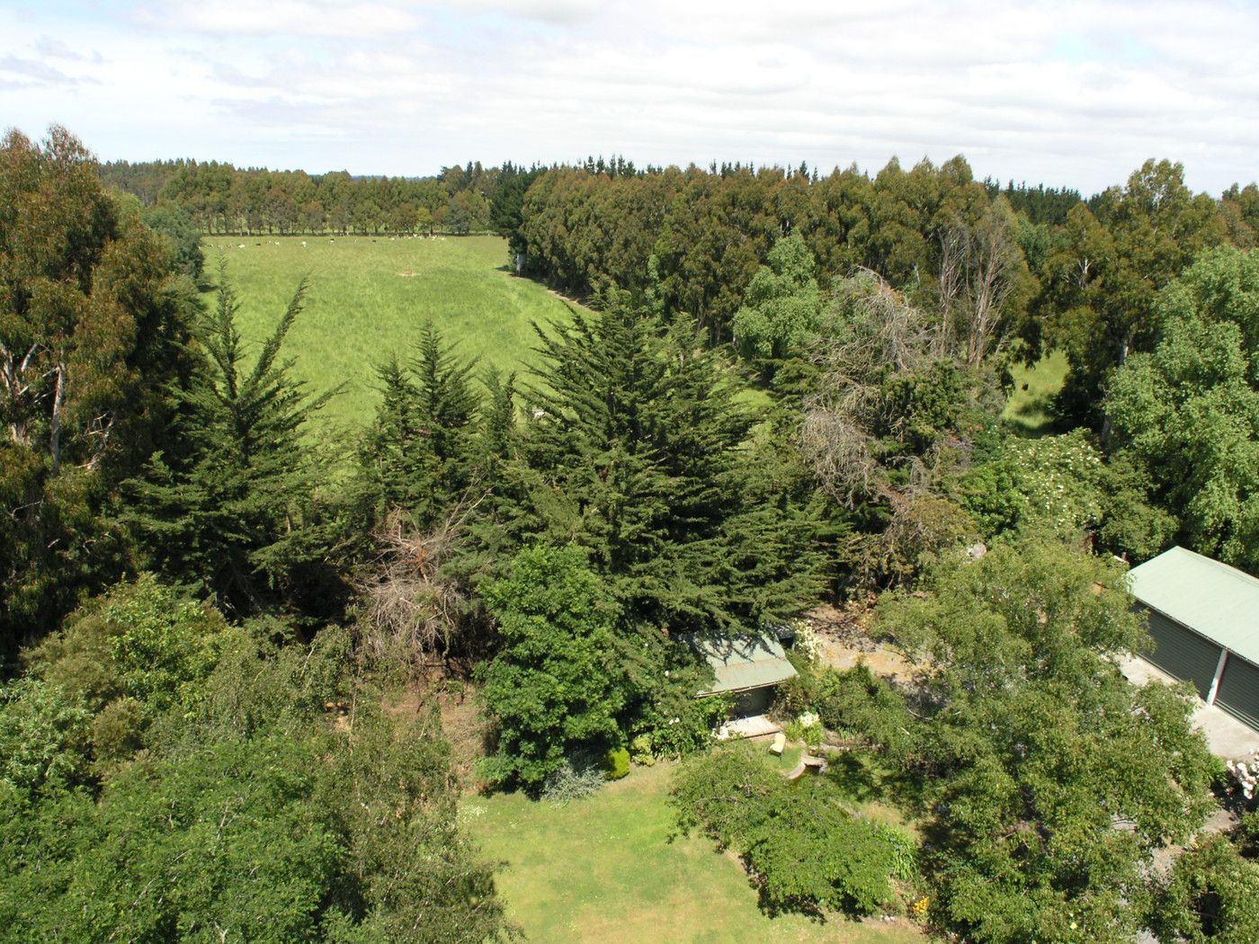 375 Brookside Irwell Road, LEESTON, Selwyn District