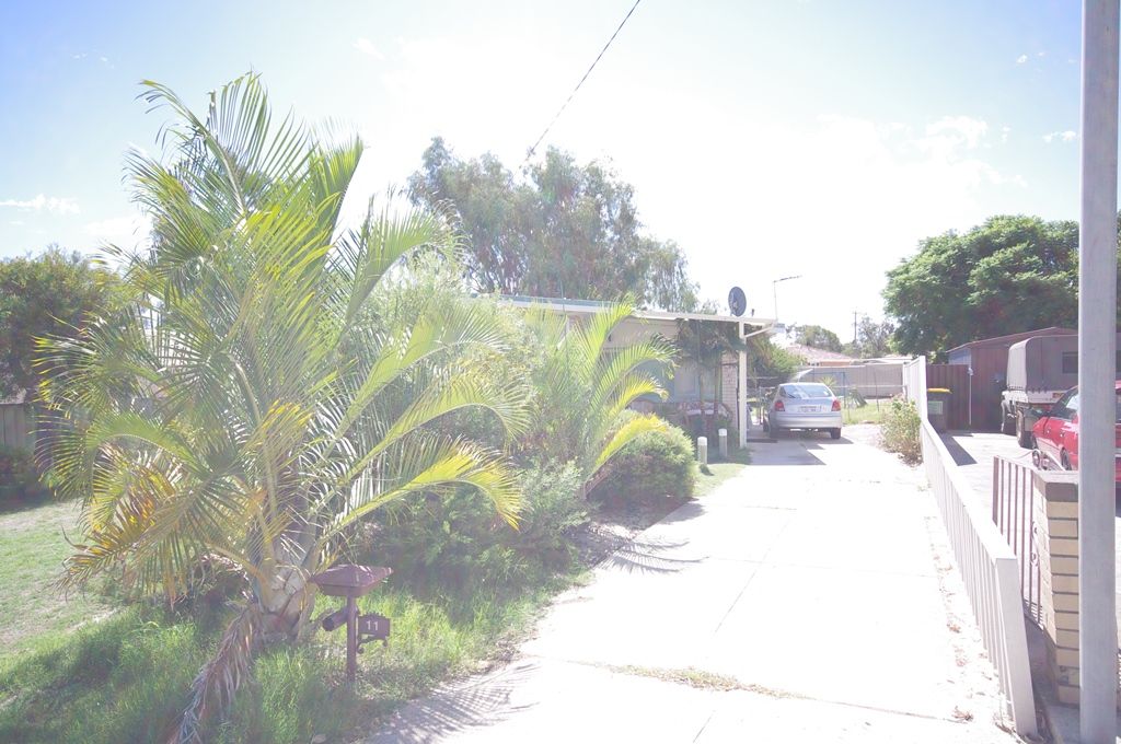 11 Tempany Way, KOONDOOLA, WA 6064