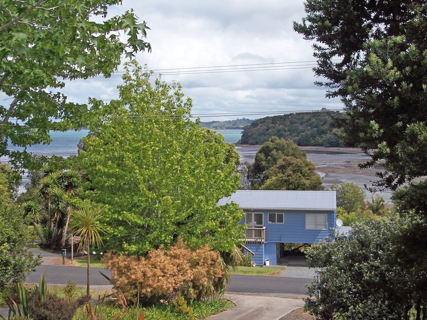 MATAKANA, Rodney