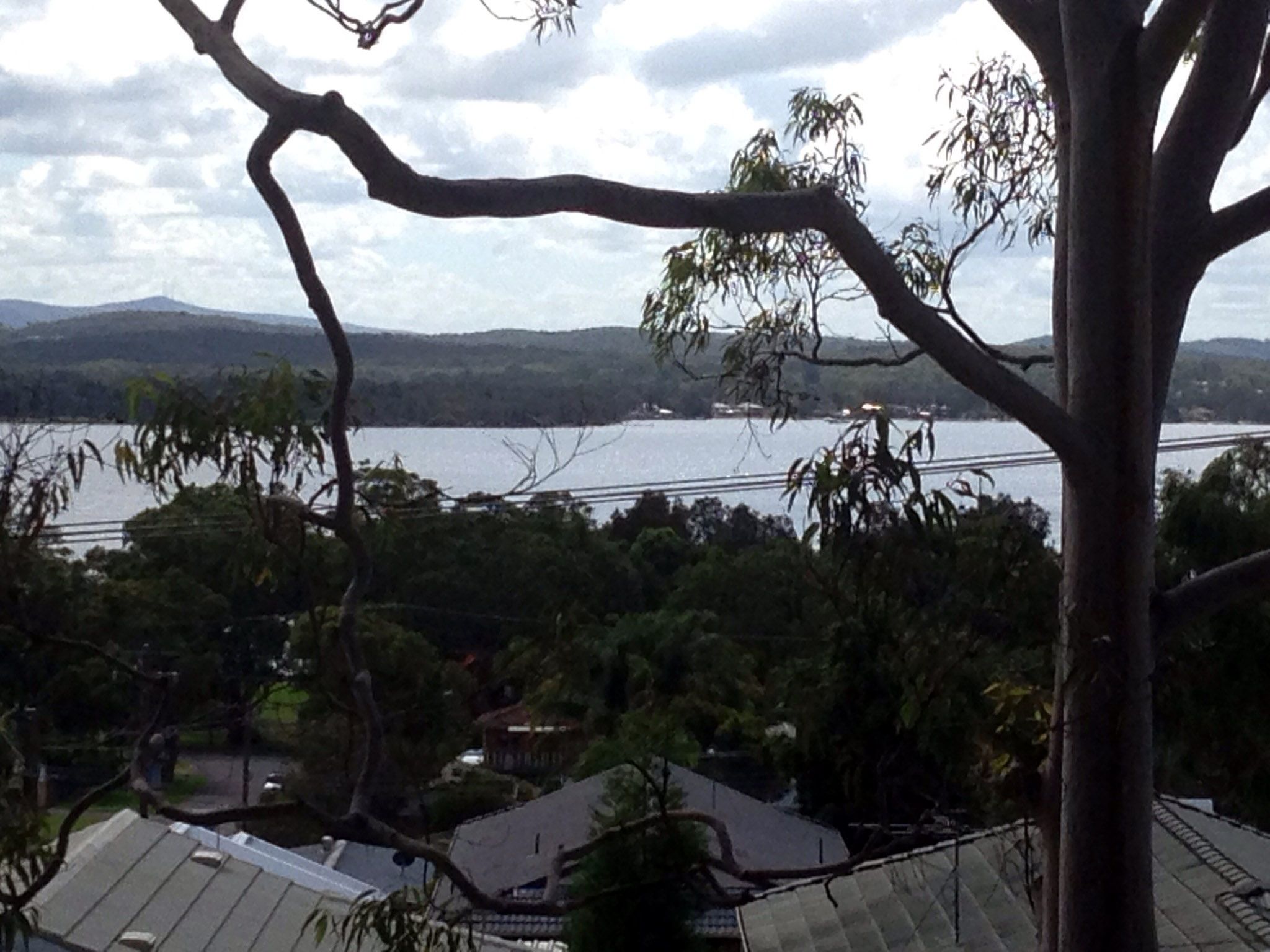 66 Dalley Street, BONNELLS BAY, NSW 2264