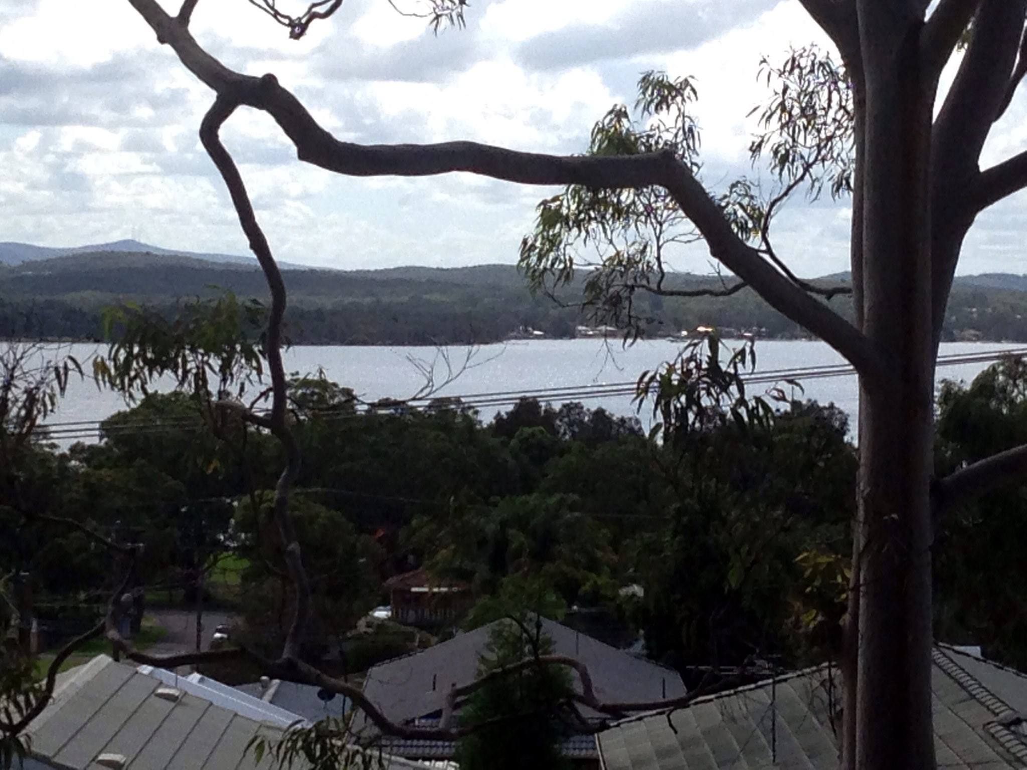 66 Dalley Street, BONNELLS BAY, NSW 2264