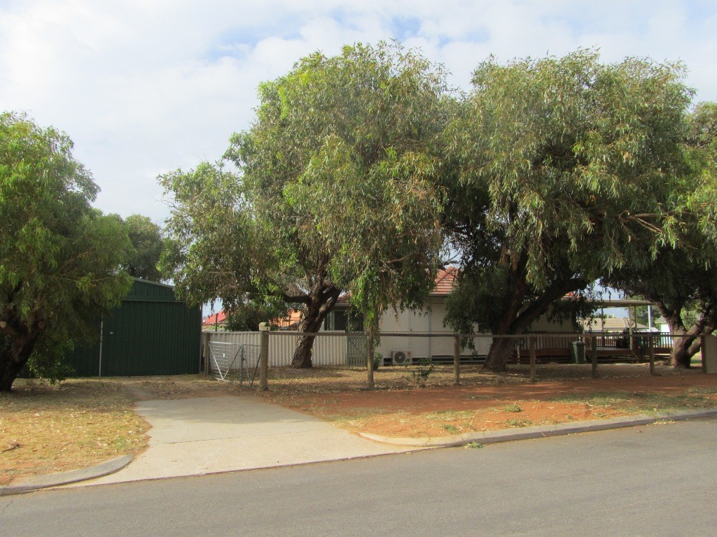 8 Whitfield Street, BEACHLANDS, WA 6530