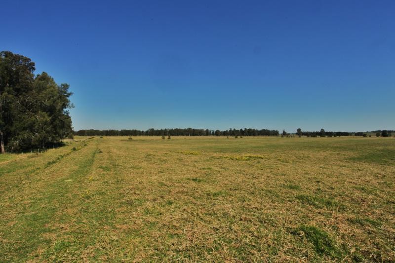 NELSONS PLAINS, NSW 2324