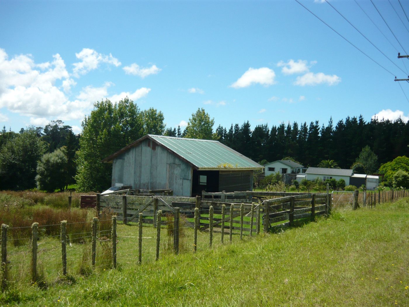 KAIWAKA, Kaipara District
