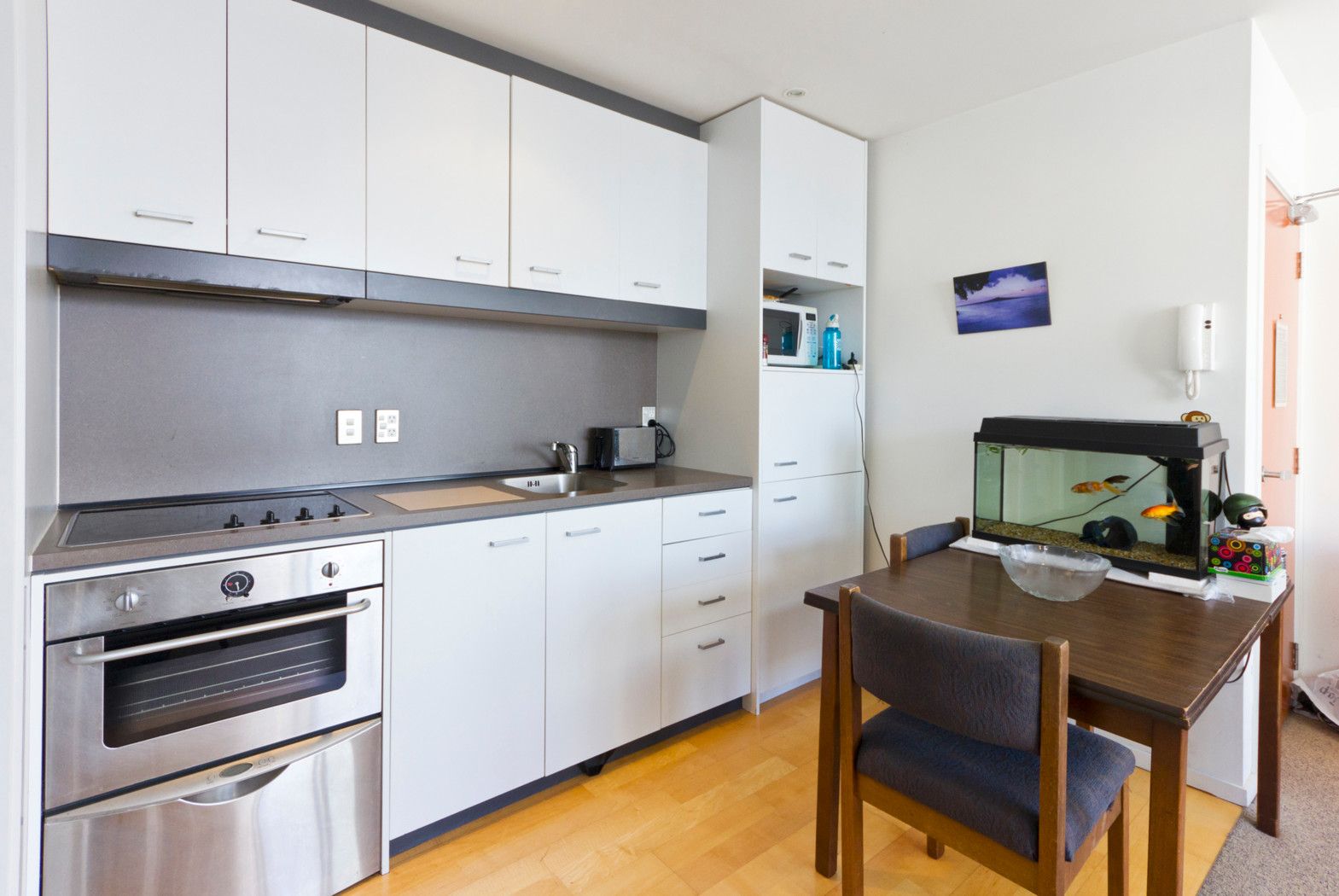 AUCKLAND CENTRAL, Auckland City