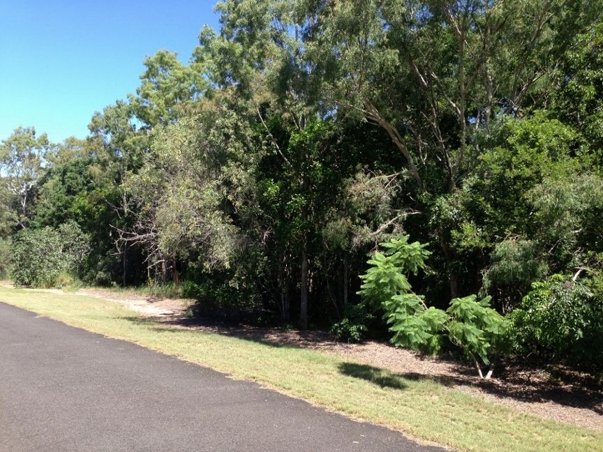 29 Plum Tree Crescent, MOORE PARK BEACH QLD 4670