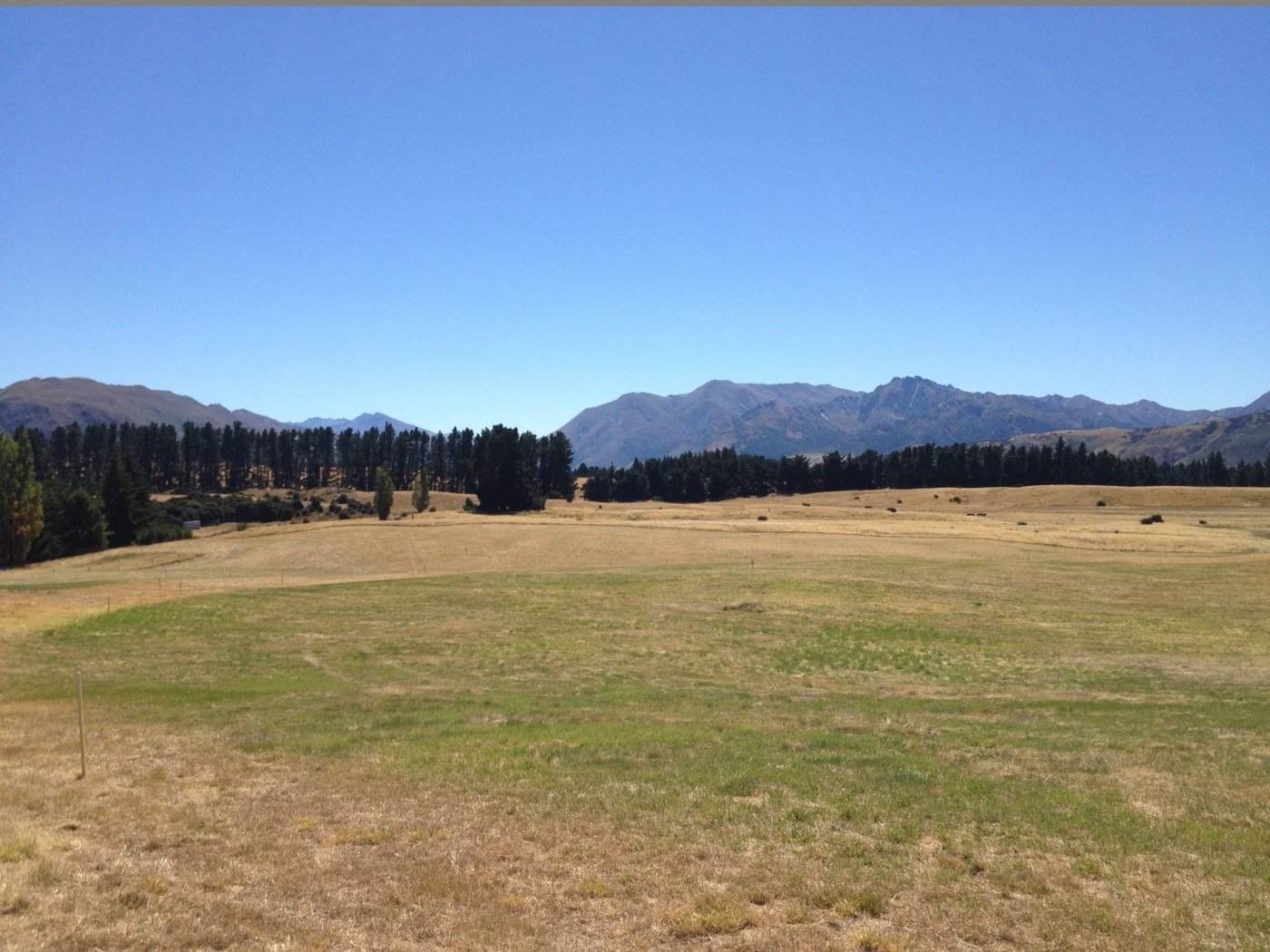 Lot 8 Northlake, WANAKA, Queenstown Lakes District