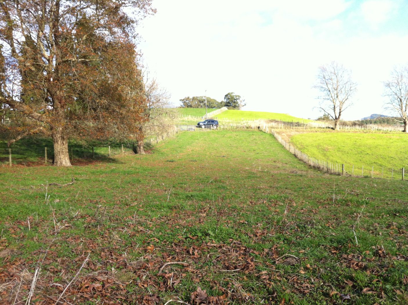 45 Ellicott Road, Rotoorangi, Waipa District