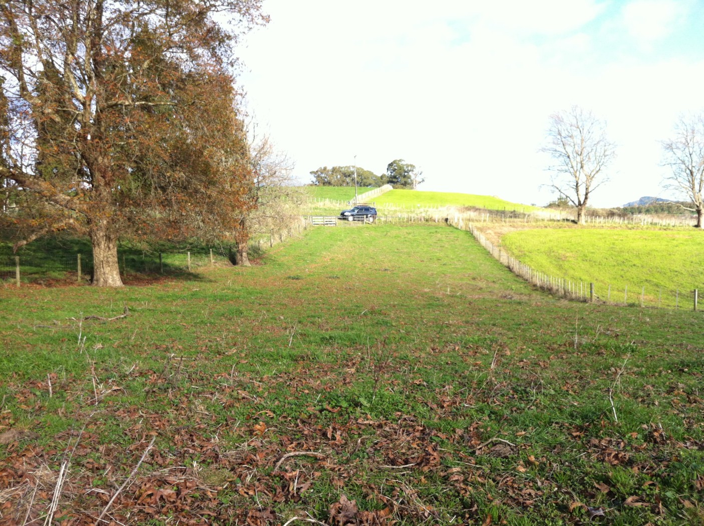 45 Ellicott Road, Rotoorangi, Waipa District