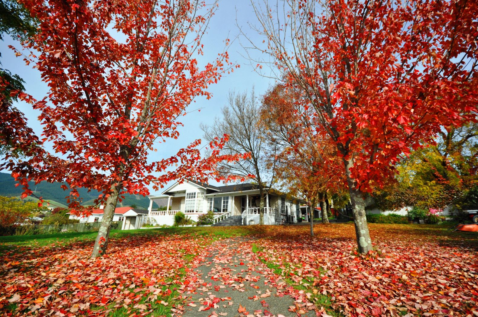 7 Dorset Street, RICHMOND, Tasman District