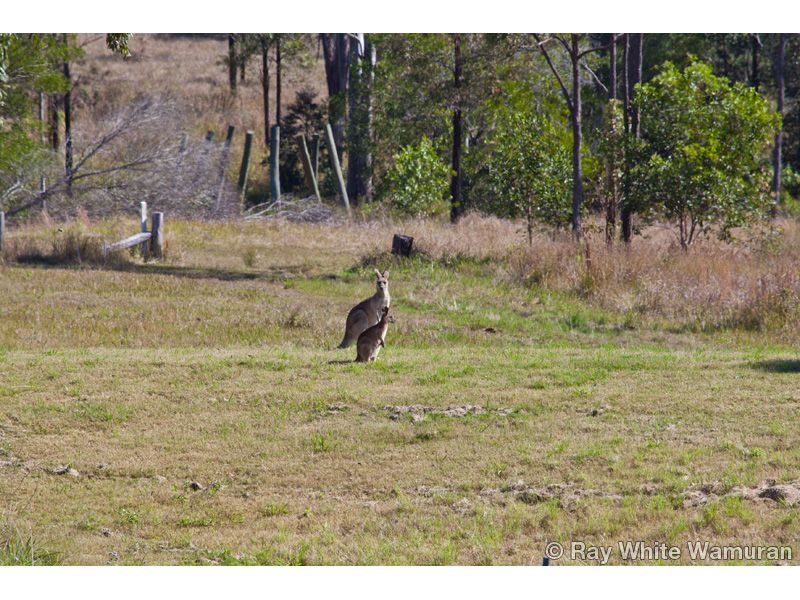 WOODFORD, QLD 4514
