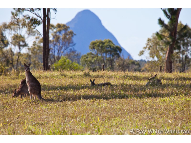 WOODFORD, QLD 4514