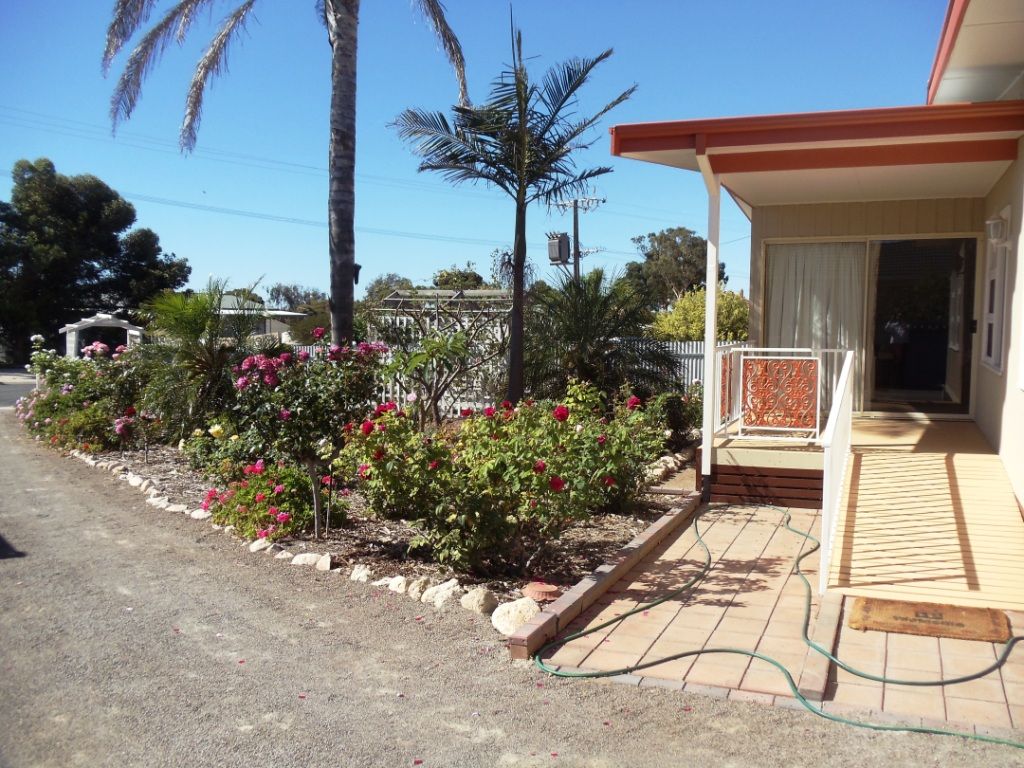 11 Tiddy Widdy Road, ARDROSSAN, SA 5571