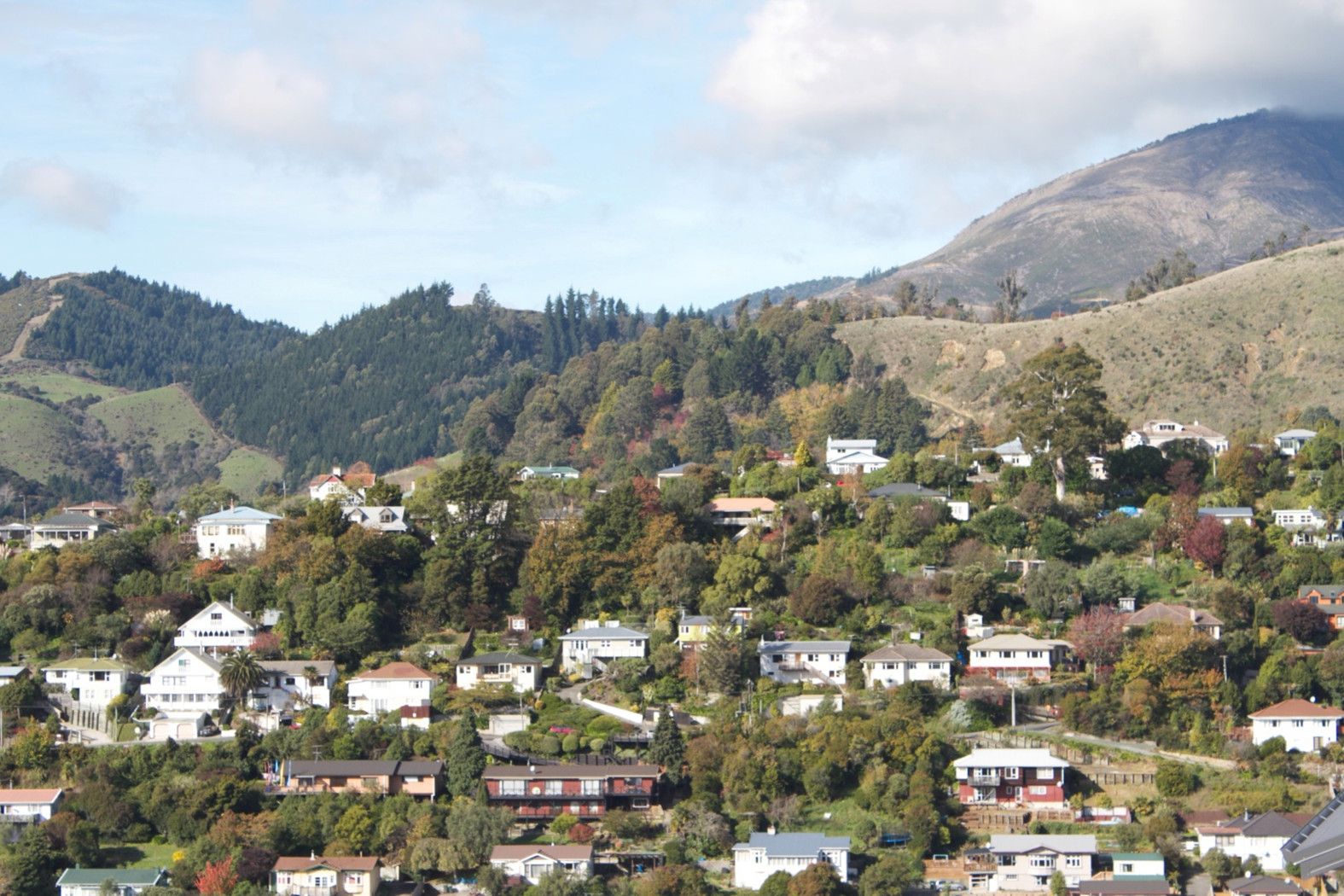 41 Saint Lawrence Street, TOI TOI, Nelson City