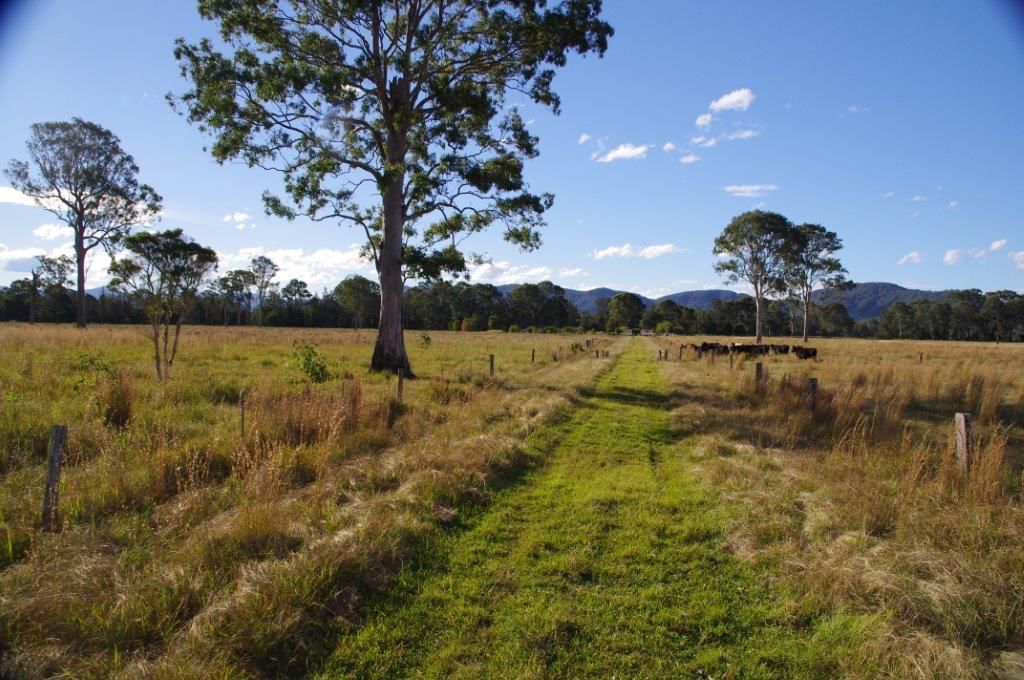 LANSDOWNE, NSW 2430