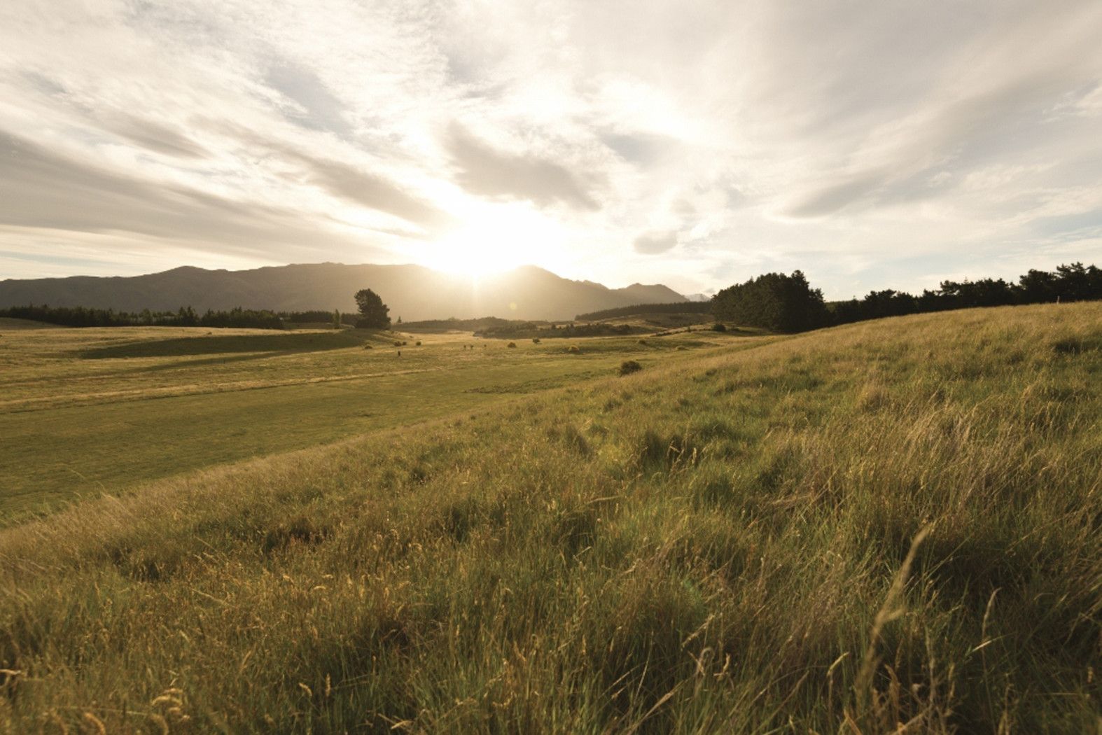 Lot 21 Aubrey Road, WANAKA, Queenstown Lakes District