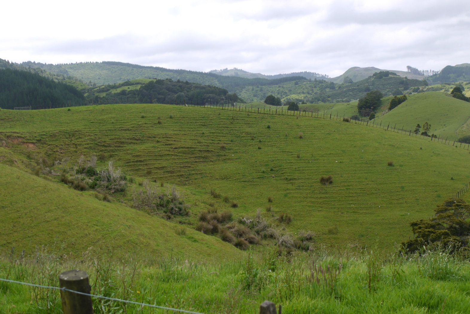 122 Anderson Road, MATAKANA, Rodney