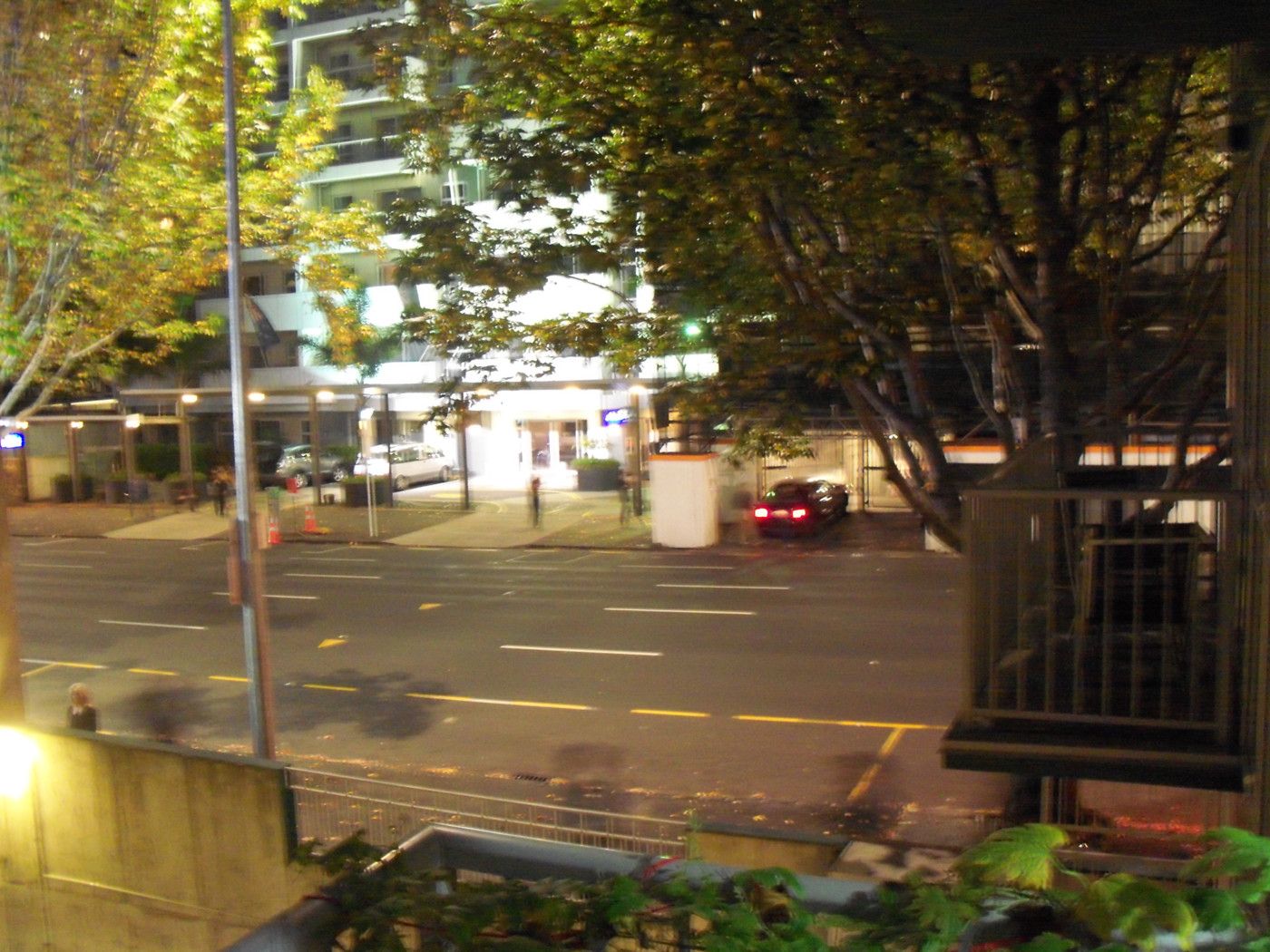 AUCKLAND CENTRAL, Auckland City