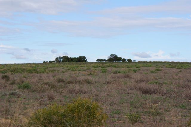 2368 Wye Farm Road, DONGARA, WA 6525
