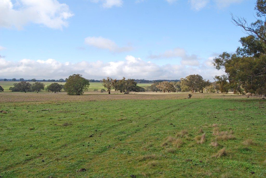 240-280 Kierces Road, CLUNES, VIC 3370