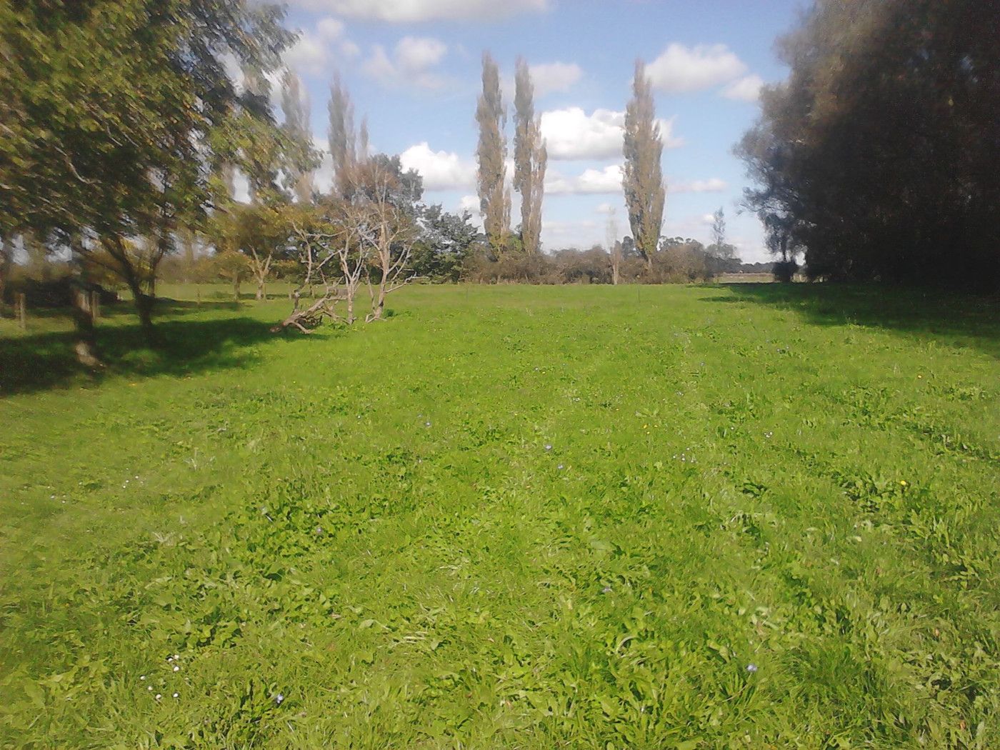 43c Limmer Road, Te Kowhai, Kaipara District