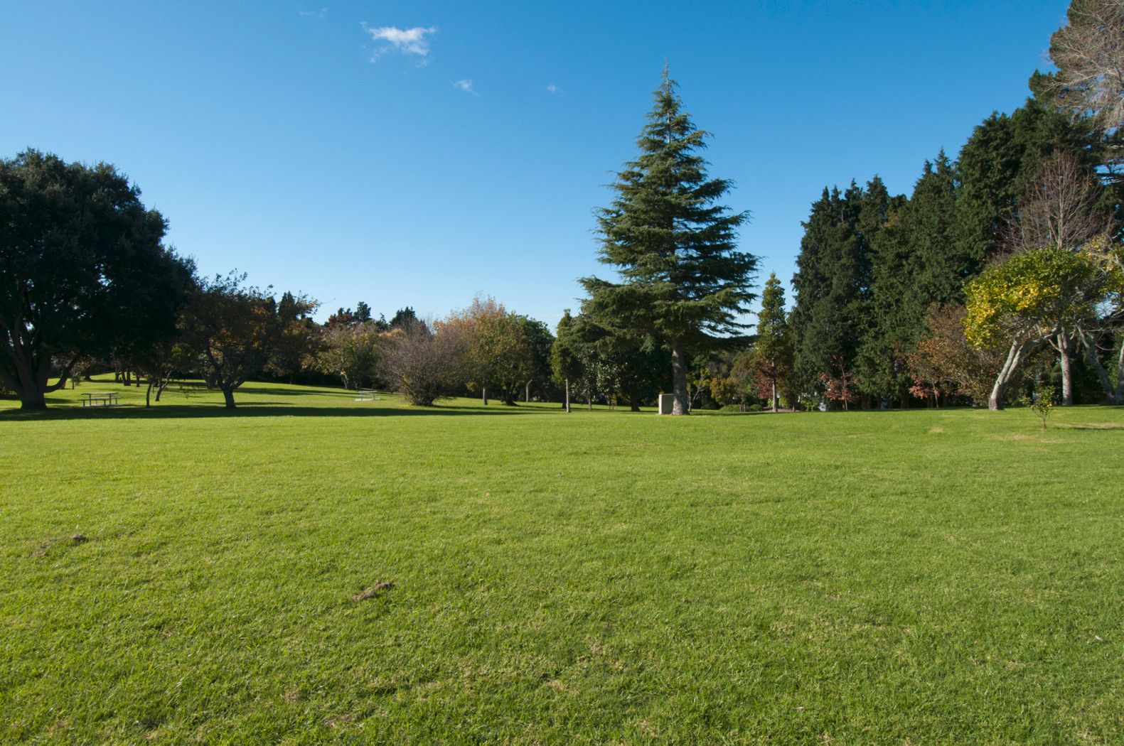 42A Collingwood Street, JUDEA, Tauranga City