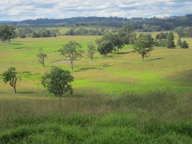 1397 Dungog Road, DUNGOG, NSW 2420