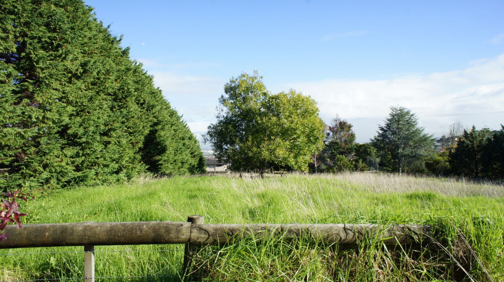 FLAT BUSH, Manukau City