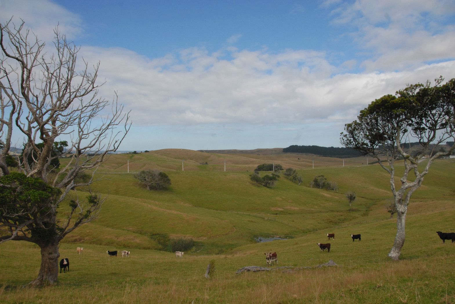 Lot 1 Oturu Road, KAITAIA, Far North District