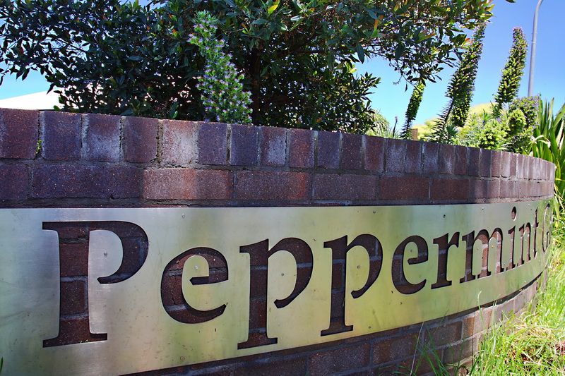 Lot 605 Kauri Street, NOWRA, NSW 2541