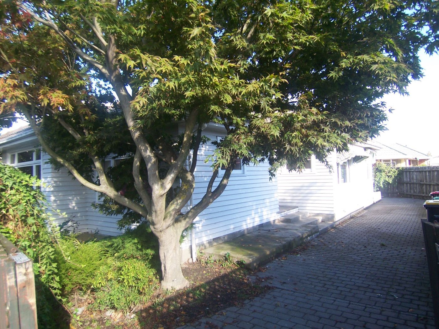 9 Worthy Street, ILAM, Christchurch City