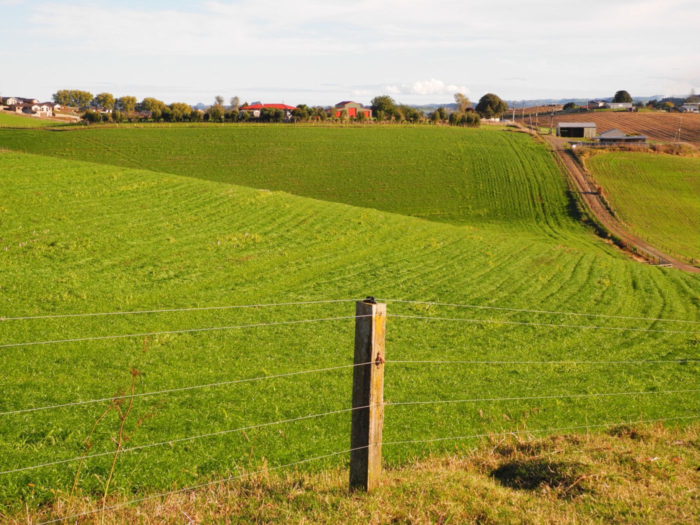 0 Harpers Avenue, OTOROHANGA, Otorohanga District