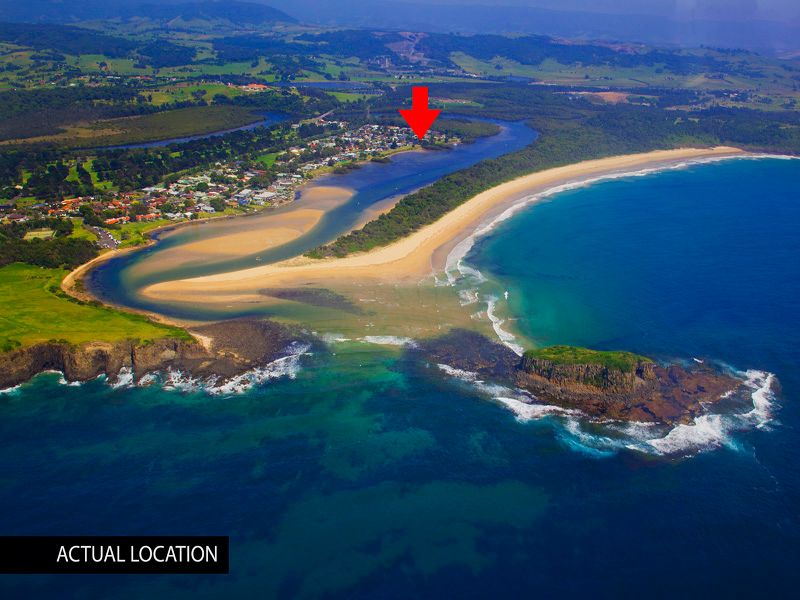 42 Charles Avenue, MINNAMURRA, NSW 2533